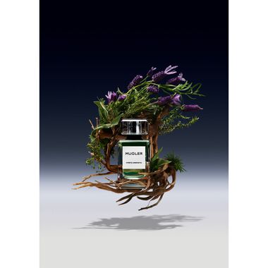 faces les exceptions mystic aromatic  repack