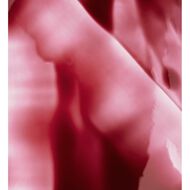 faces بوب زيت الشفاه والخدود