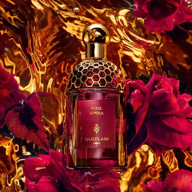 faces مجموعة هدايا عطر ابسولو أليجوريا روز أميرا