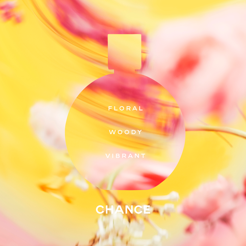 شانيل chance eau de toilette vaporisateur