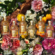 أكوا أليجوريا فورت ماندارين بازيليك faces أكوا أليجوريا فورت ماندارين بازيليك