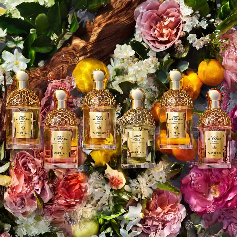 جيرلان أكوا أليجوريا فورت ماندارين بازيليك