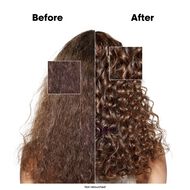 faces absolut repair molecular