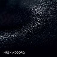 faces ذا ألكيميستس غاردِن موسكيو مينيراليس