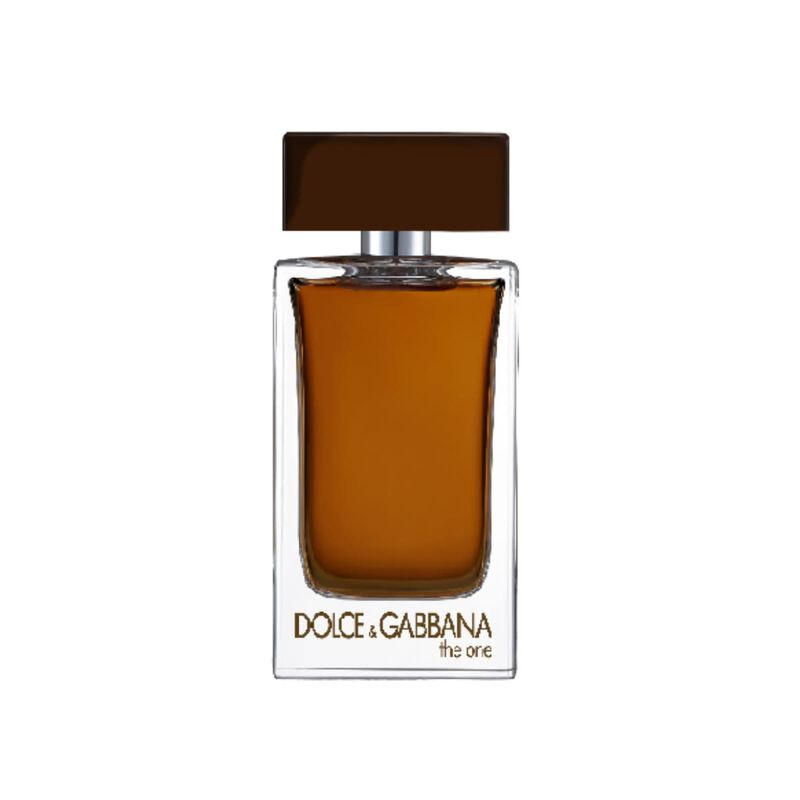 dolce & gabbana the one