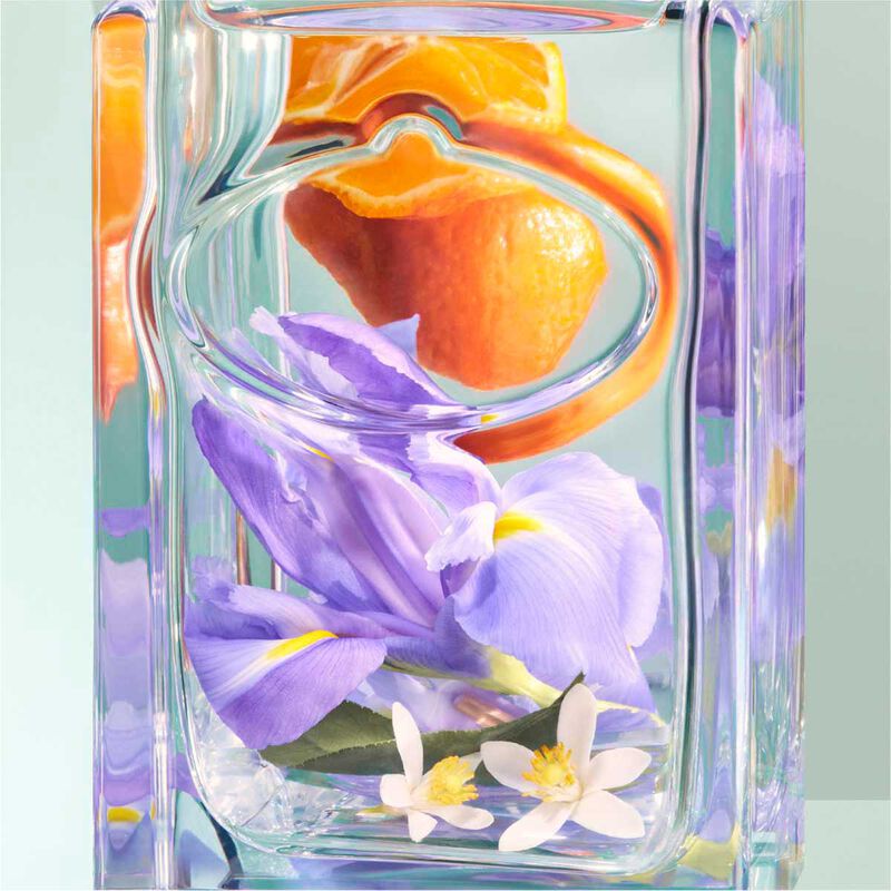 prada les infusions de iris   eau de parfum 100ml