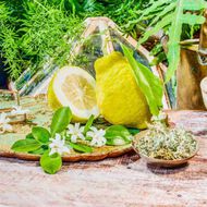 faces ذا ألكيميست جاردن 1921 أو دو برفان 100مل