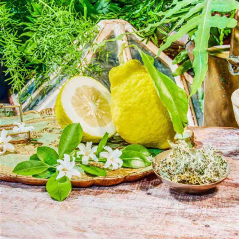 غوتشي ذا ألكيميست جاردن 1921 أو دو برفان 100مل