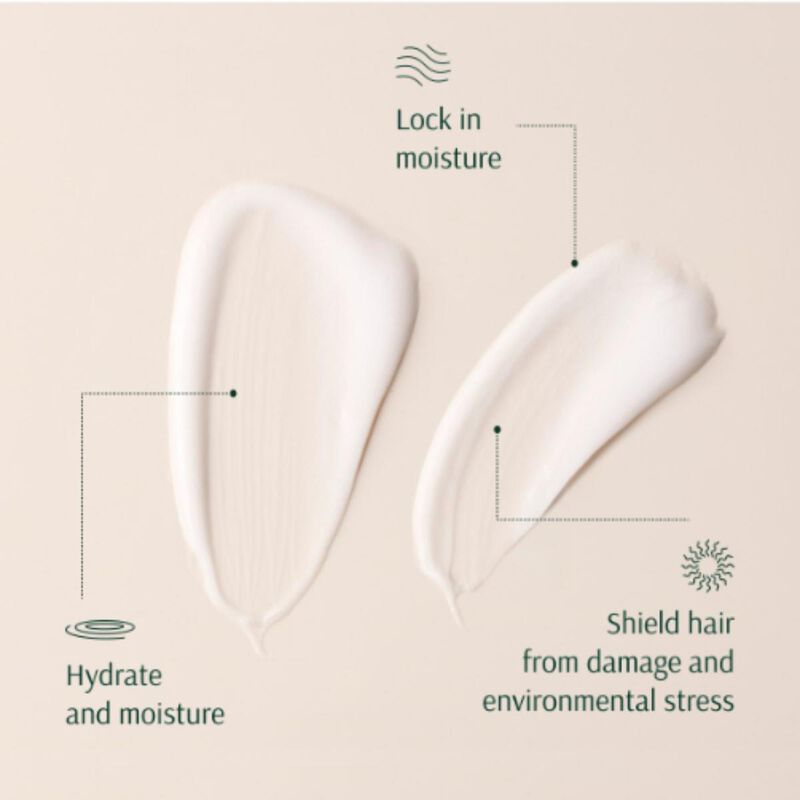 tara strawberry+ nmf nurture