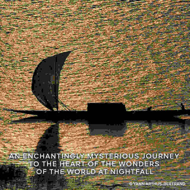 faces ابسولو أليجوريا عود إيسنسيال