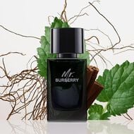 Mr. Burberry Eau de Parfum faces mr burberry eau de parfum