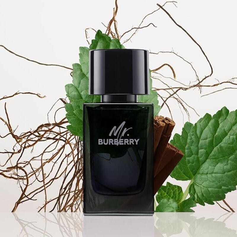 burberry mr. burberry eau de parfum