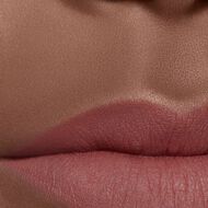 ROUGE ALLURE INK FUSION faces rouge allure ink fusion