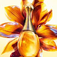 faces j adore intense