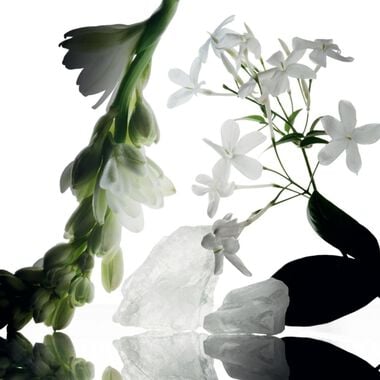 faces عطر وايلد تيوبروز مجموعة المسك الأساسي