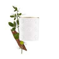 Birmanie Oud faces birmanie oud