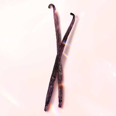 faces عطر إيدول لو دو بارفان نيكتار أو دو برفان