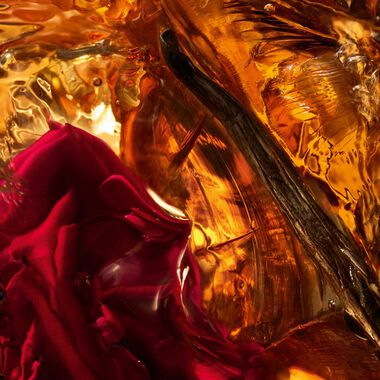 faces آبسولو أليغوريا أمبر سامَر