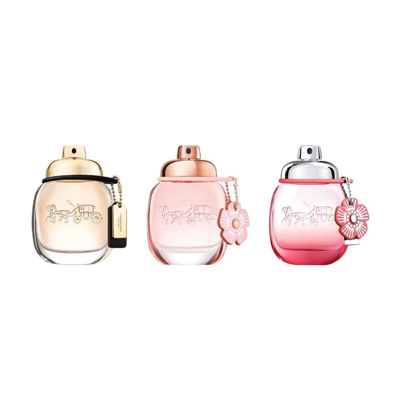 كوتش مجموعة كوتش تريو