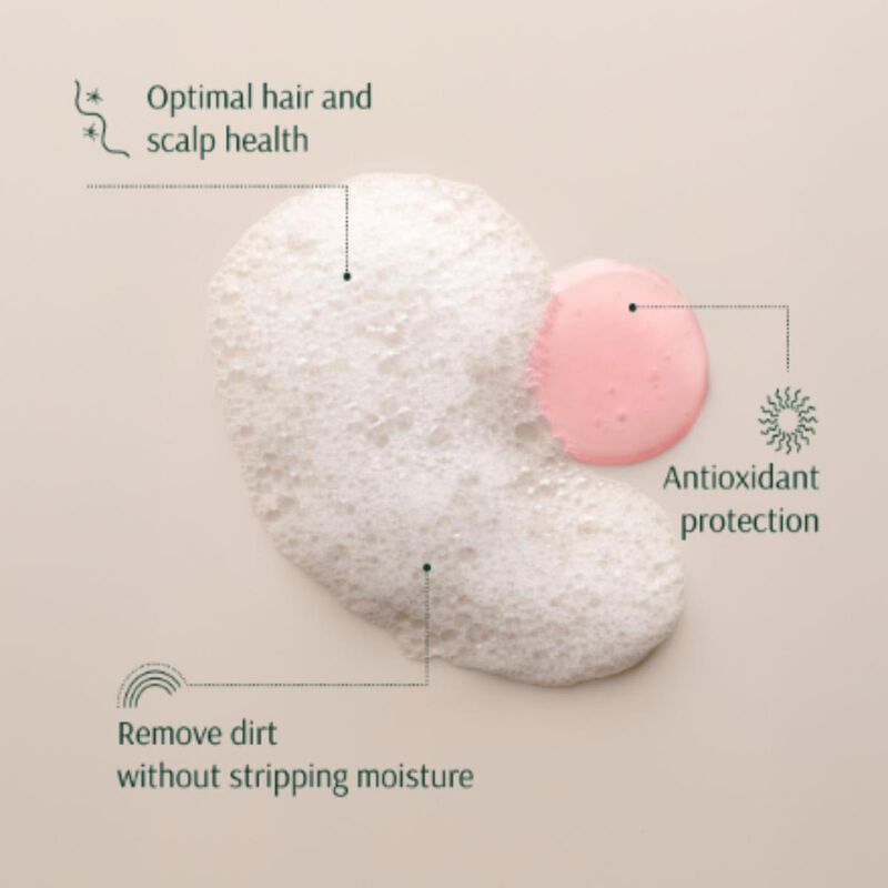 tara strawberry+ nmf