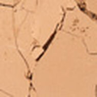 faces بودرة الاسمرار هولا برونزر حجم صغير