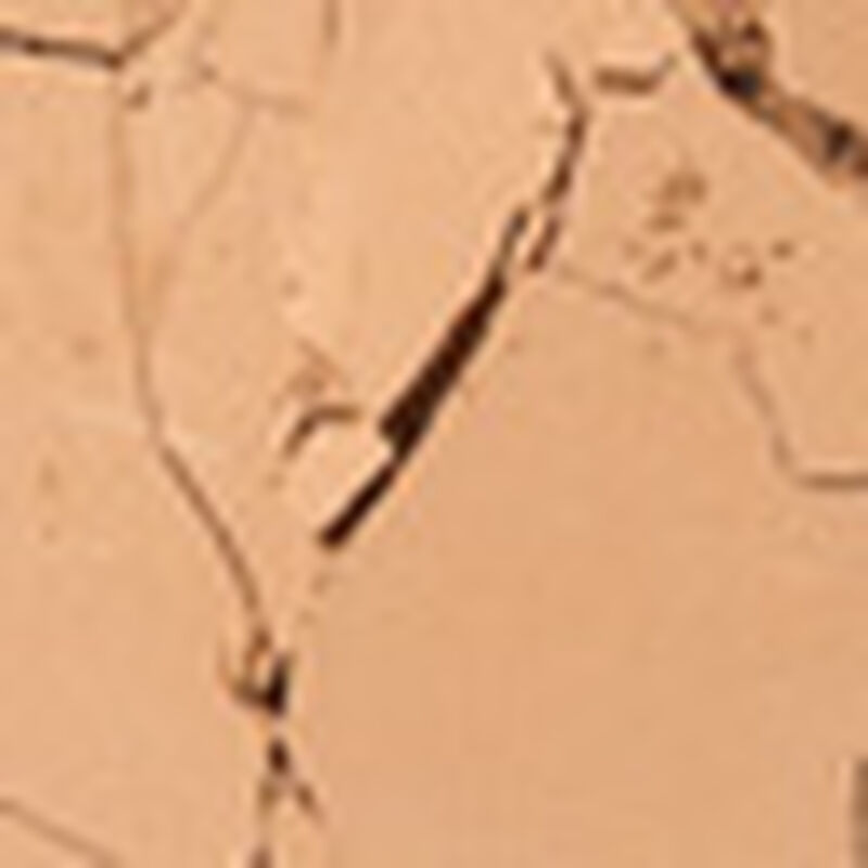 بينفت بودرة الاسمرار هولا برونزر حجم صغير