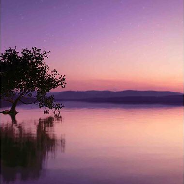 faces عطر سينشواس ستارز أو دي برفان