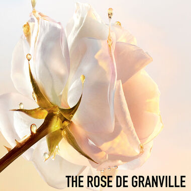 faces منظف الوجه ديور برستيج لا موس ميكلار