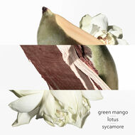 faces un jardin sur le nil