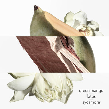 faces جاردن سور لو نيل