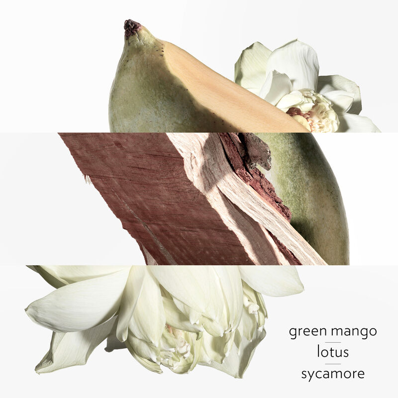 hermes un jardin sur le nil