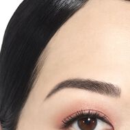 faces ombre premiere