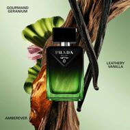 عطر بارادايم لو بارفان faces عطر بارادايم لو بارفان
