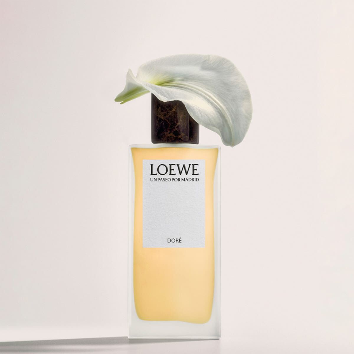Loewe Un Paseo Por Madrid Dore