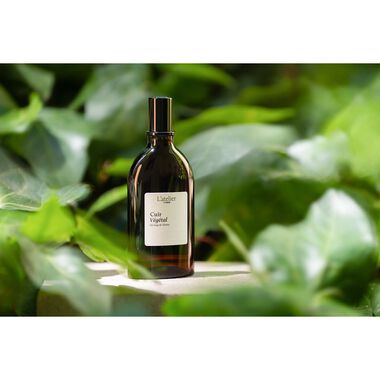 faces كوير فيجيتال