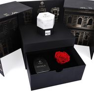 Niche 5 faces niche 5