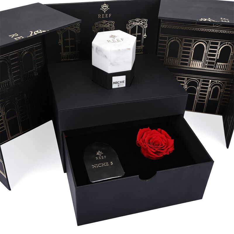 reef perfumes niche 5