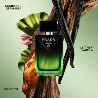 Paradigme Le Parfum faces paradigme le parfum