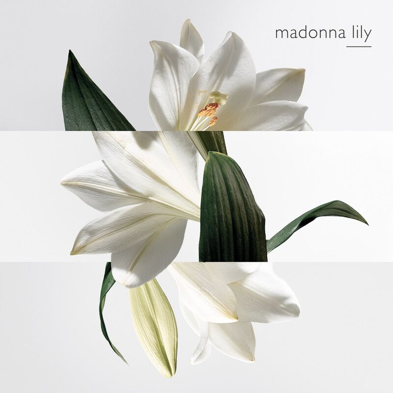 hermes jardin sur la lagune edt 50ml