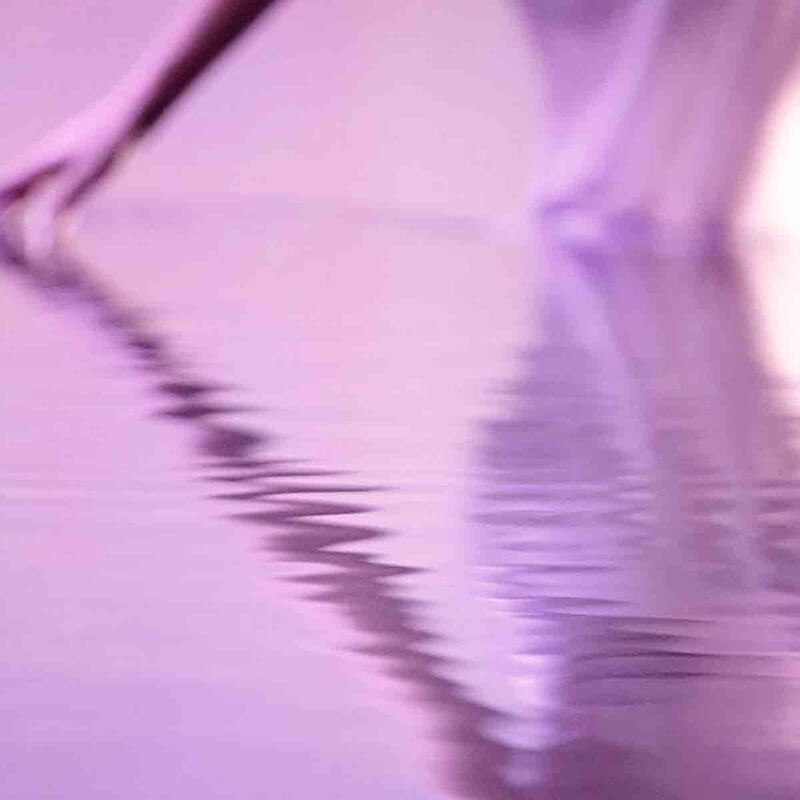 إستي لودر عطر سينشواس ستارز أو دي برفان