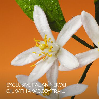 faces ذا ألكيميستس غاردِن فيوري دي نيرولي أو دو بارفان