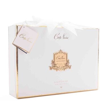 معطر جو باقة هدية الفانيليا الذهبي صندوق أبيض مع شارة ذهبية faces معطر جو باقة هدية الفانيليا الذهبي صندوق أبيض مع شارة ذهبية