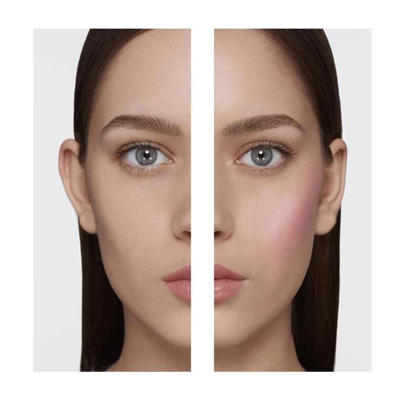 جيفنشي ثنائي بودرة بلاش الوجه بريسم رقم 06