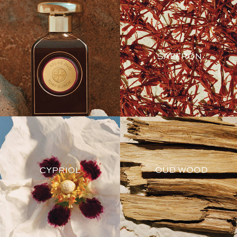 توري بورش اتلاس عود