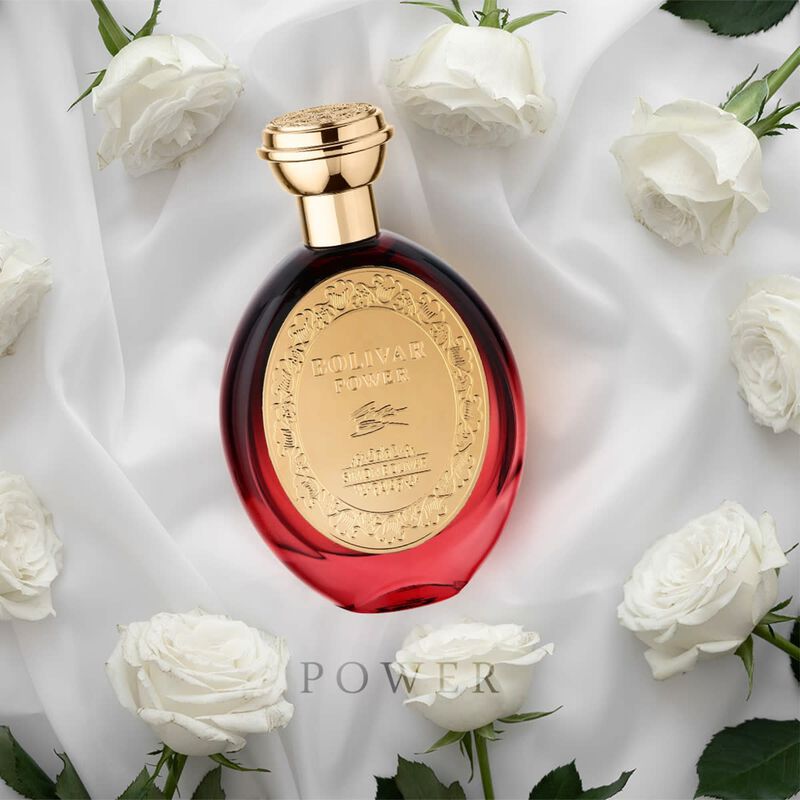 simon bolivar  power