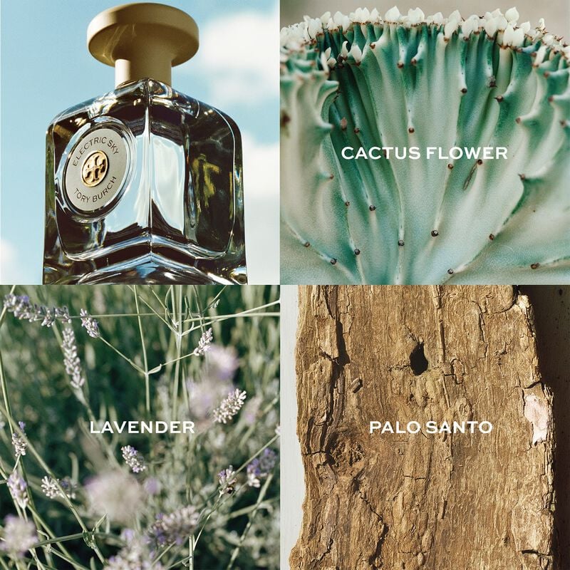 توري بورش الكتريك سكاي