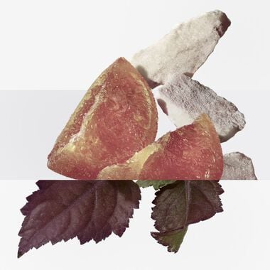 faces إكسيردو ميرفيل