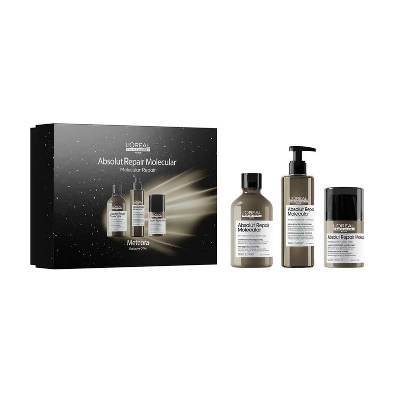 l'oreal professionnel absolut repair molecular trio set