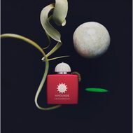 faces لوف هيبسكوس