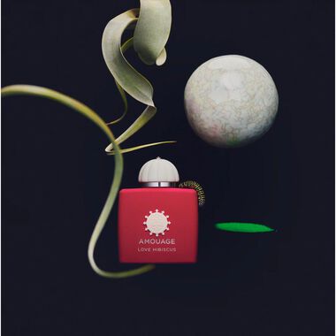 faces لوف هيبسكوس